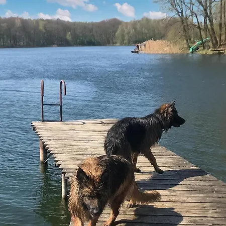 Gorgeous In Jaromierz With Sauna *