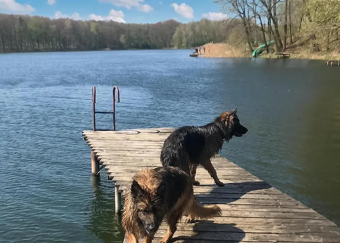 Gorgeous In Jaromierz With Sauna *